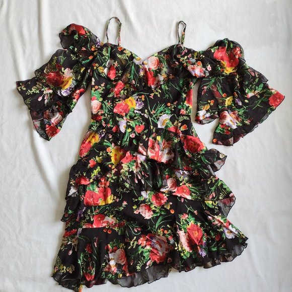 Alice + Olivia Dresses & Skirts - Alice + Olivia Burnout Silk Chiffon Bold Floral Dress 8 Ruffled Mini